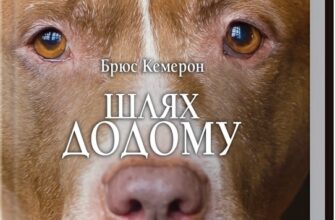 «Шлях додому» Брюс Кемерон