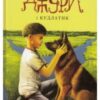 «Джури. Книга 4. Джури і кудлатик» Володимир Рутківський