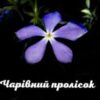 “Чарівний пролісок” Софія Вітерець