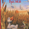 «Казки» Ганс Христіан Андерсен