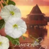 “Ранкове сяйво” Сара Джіо