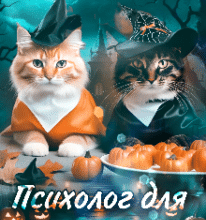 «Психолог для психолога» Юлія Богута